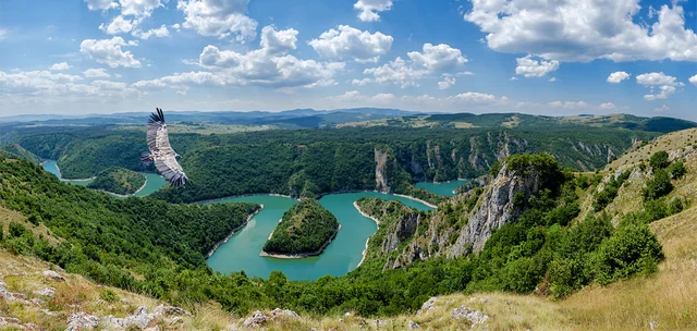 Сербия